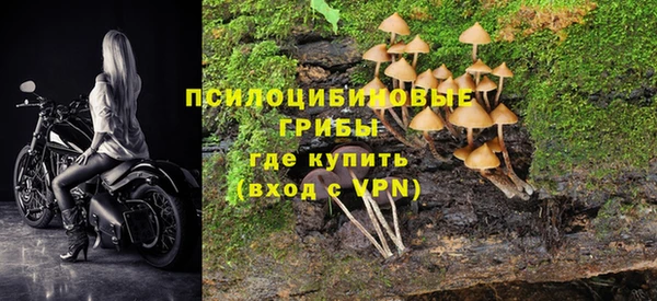прущие крисы Нея